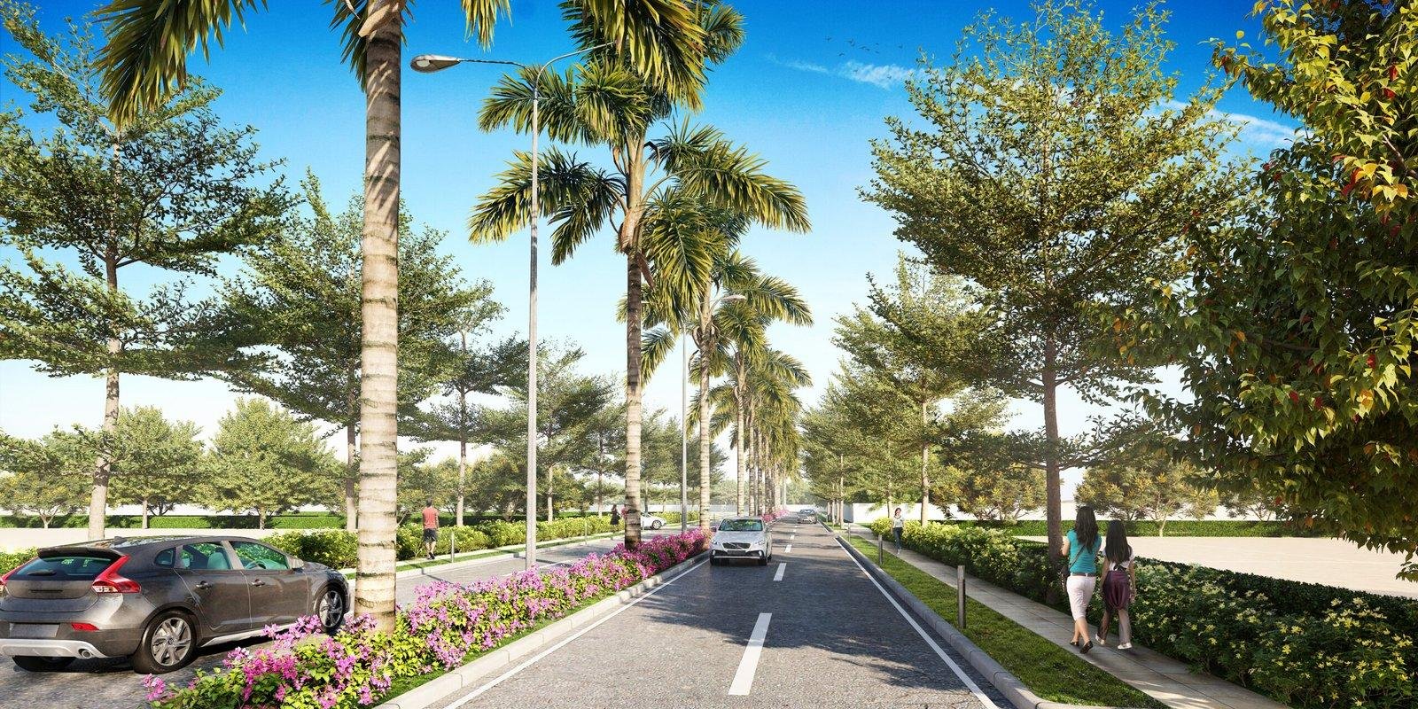Wide Roads